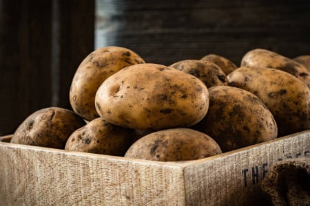 Урожай картофеля уже в июне: мудрые дачники покупают эти ультраранние сорта прямо сейчас — в феврале семян не останется