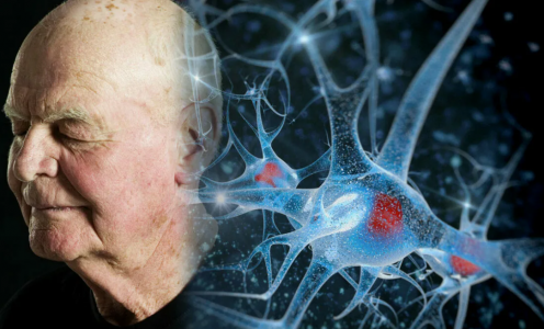 Дыши правильно: ученые нашли простой и эффективный способ в разы уменьшить риск болезни Альцгеймера — так может каждый