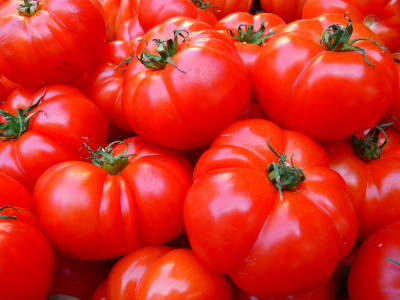 Семена нарасхват среди огородников: белорусские селекционеры вывели этот универсальный сорт томатов, чтобы собирать урожай ведрами — фитофтороз не страшен