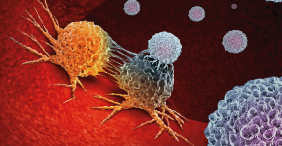 Провокаторы рака: 4 ошибки в быту запускают злокачественный процесс — их назвала онколог Магомедова