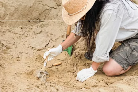 Ученые из Австралии нашли «капсулу времени», которая лежала в земле 50 тыс. лет: в ней сохранились следы человека