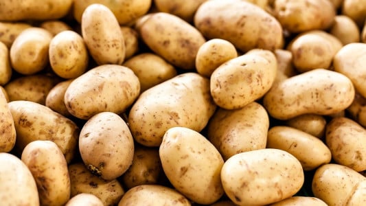 Картофель будете раздавать соседям: вот что важно сделать уже сейчас для богатого урожая — рекомендация агронома Гуляевой