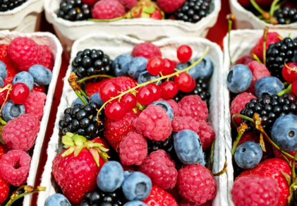 Ясный ум и твёрдая память: Сохранить и даже улучшить все функции мозга поможет российская популярная ягода — Nutrients