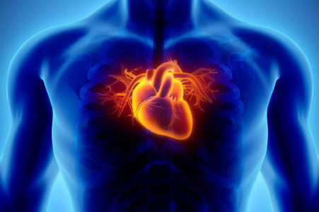 Это должен знать каждый: кардиолог Концедайло назвала главный симптом инфаркта миокарда — когда нужно срочно звать на помощь