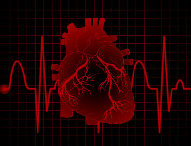Секрет здоровья сердца в 3 ингредиентах: кардиолог дала четкие рекомендации для поддержания сердечно-сосудистой системы — этого всегда не хватает в рационе