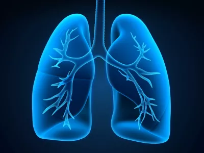 Лёгкие будут вмиг восстановлены: для очистки парного органа понадобятся эти методики — совет кандидата медицинских наук