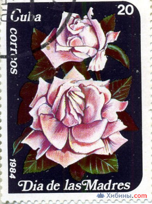 Объявление Роза 1994