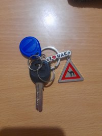 найдены ключи в районе кировск, парковая 4 брелок UAE