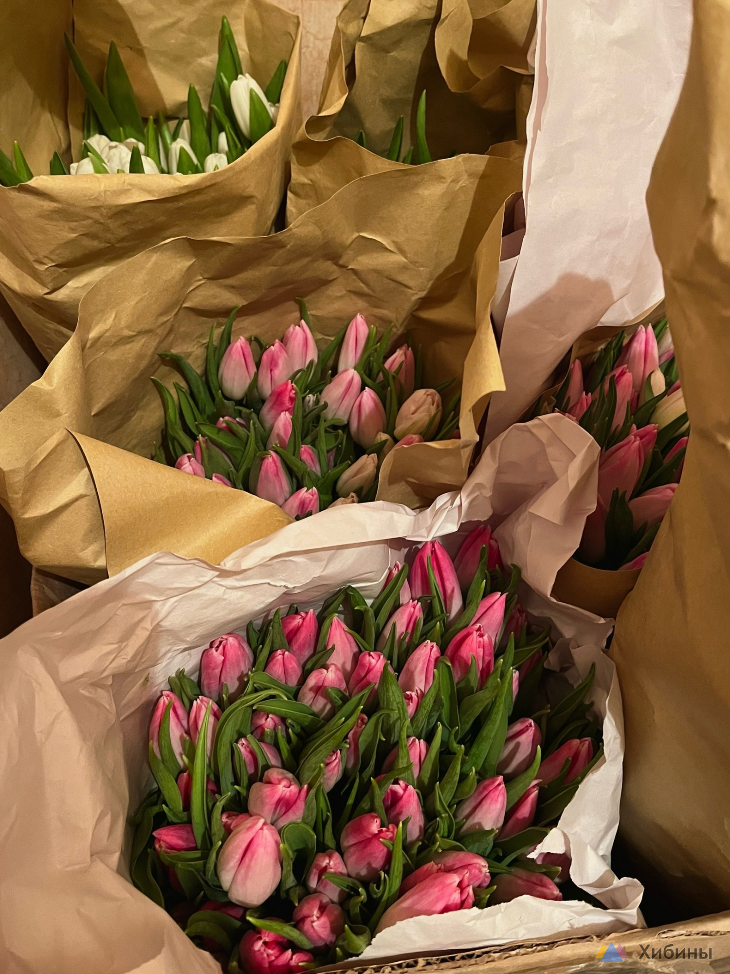 Букеты из свежих тюльпанов