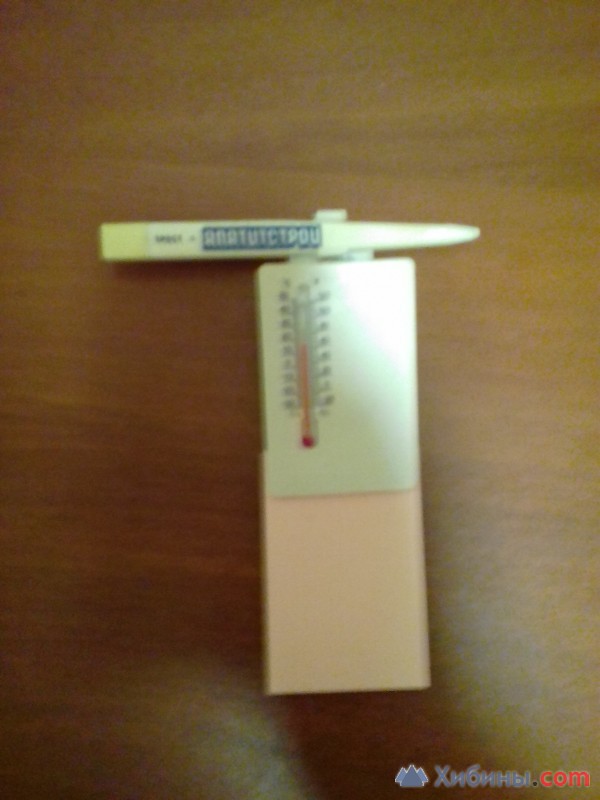 термометр+ручка+буклеты апатитстрой