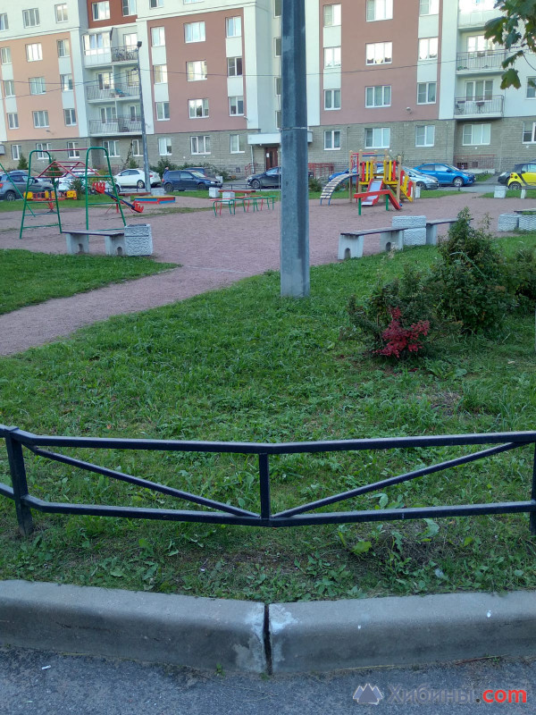 Уютная 1-к кв. в экологически чистом районе Санкт-Петербурга с видом н