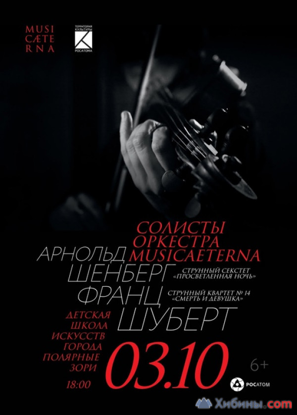 Фотография  для Концерт струнного секстета оркестра MusicAeterna