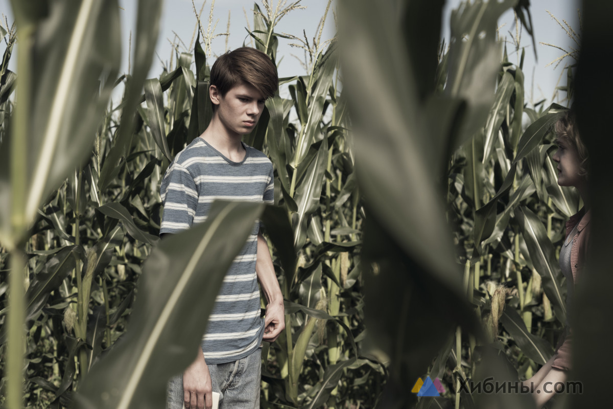Фотография  для Дети кукурузы
