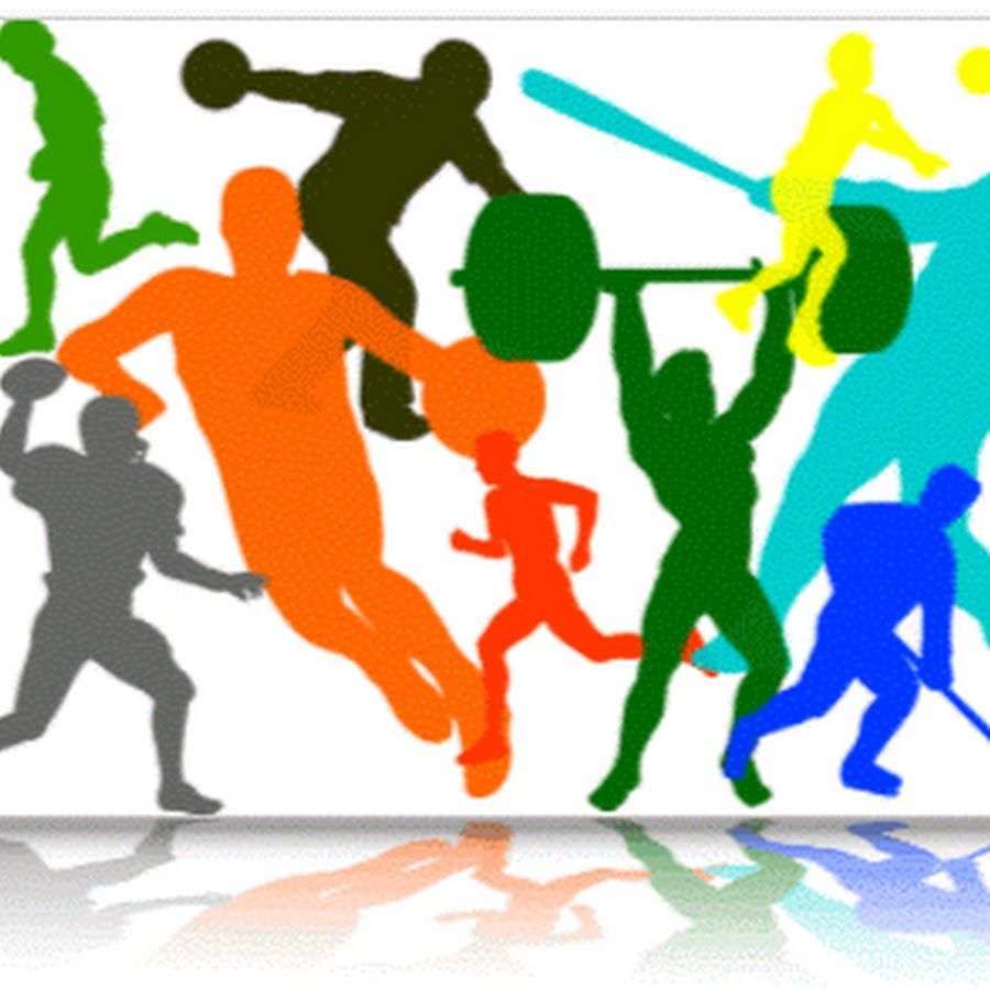 В Мурманской области продолжится развитие массового и профессионального спорта