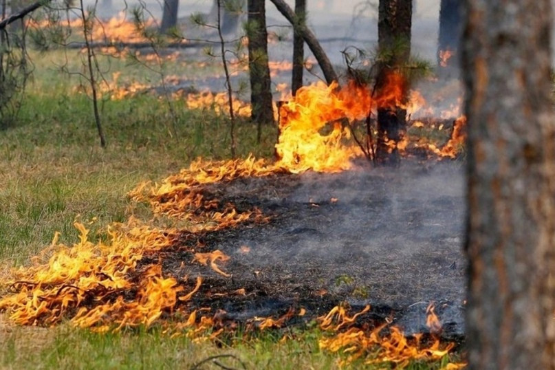 В Мурманской области введен четвертый класс пожарной опасности