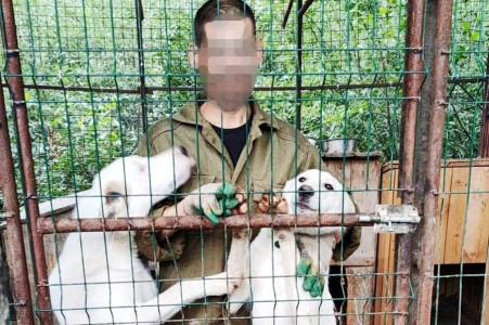 Осужденные исправительного центра стали волонтерами оленегорского приюта для животных