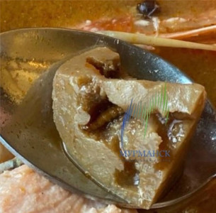Деликатес — первый сорт! Турист отведал суп с червячками в Териберке