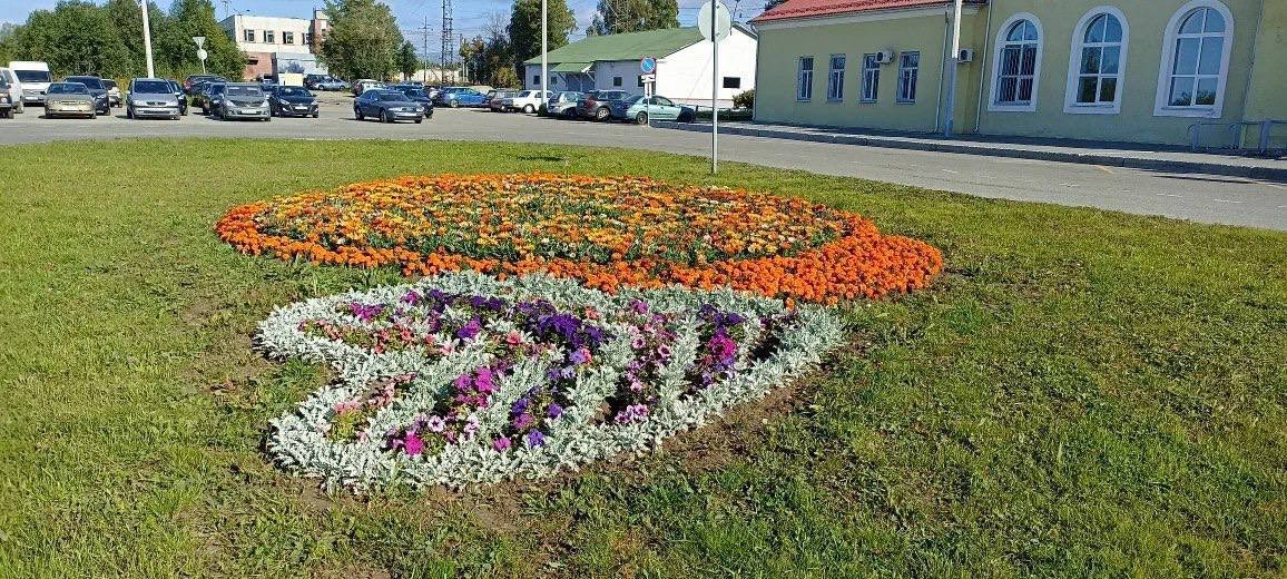 Губернатор Мурманской области провел конкурс на лучшее озеленение городских пространств