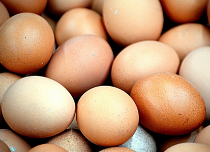 В Заполярье десяток яиц подорожал до 122 рублей