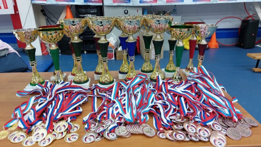 В Коле прошли областные соревнования по каратэ «Полярная звезда»