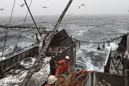 Закручивают гайки: стоимость строительства рыбопромысловых судов увеличится в 1,5 раза