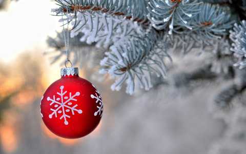 В Мурманске пройдет мастер-класс «День дарения елочных праздничных шаров»