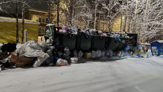 В администрации Мончегорска признали проблему с вывозом мусора