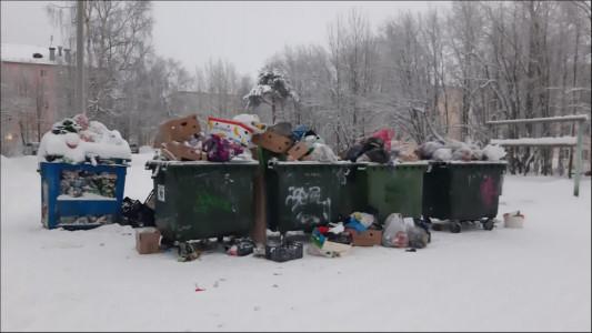 Глава Мончегорска Рудаков: город к Новому году завалило мусором