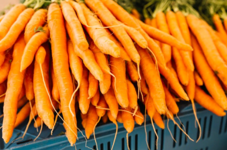 «Морковь будет ровной и мощной, как взвод солдат»: мудрые дачники не пренебрегают этими простыми советами — вот что нужно сделать с корнеплодом