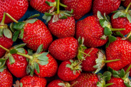 «Огромную и сочную клубнику устанете собирать»: вот чем нужно подкормить ягоды весной для колоссального урожая — соседи будут кусать локти