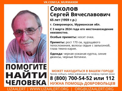 Ищут пятый день: в Мурманской области пропал пожилой мужчина