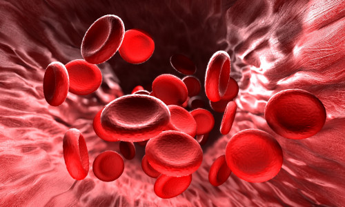 Отличная профилактика инфаркта и тромбоза: этот вкусный напиток разжижает кровь лучше любых лекарств — всё дело в аминокислотах