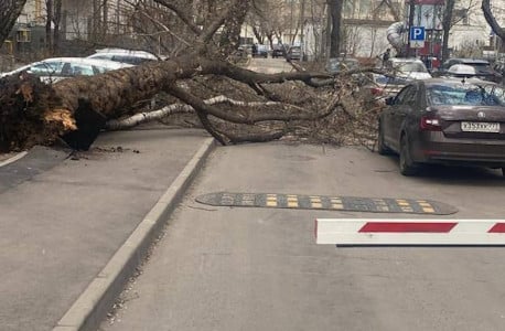 Есть погибшие: Собянин честно рассказал о последствиях мощного шторма в Москве — ветром сносило деревья и крыши домов
