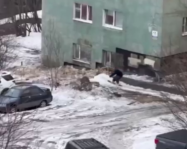 Сноубордисты облюбовали неубранный снег в Мурманске
