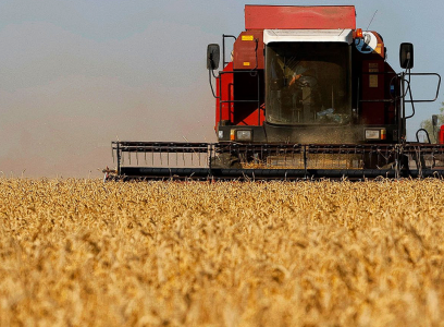 «Пришлось наступить себе на горло»: Литва возобновила закупки зерна в России после 6 месяцев перерыва