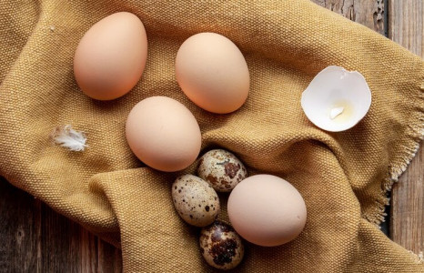 Перепелиные или куриные — какие яйца полезнее: Эксперты дали однозначный ответ — многих поразит