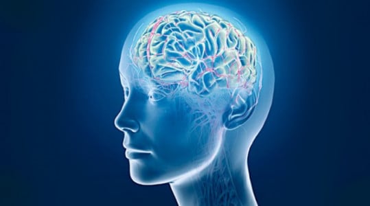 Еда номер один для мозга: врач назвал продукт, улучшающий память — источник незаменимых элементов