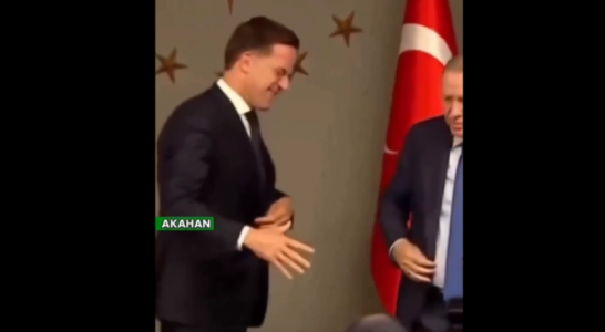 «Фу, господа»: Эрдоган по-свински обошелся с премьером Нидерландов, опозорив его на встрече на весь мир
