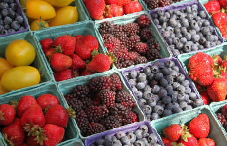 Дожить до 100? Да проще простого: врач Терентьева назвала три самые полезные ягоды — замораживайте впрок на всю зиму