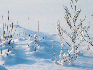 Нужно чудо: январь 2024 года в Мурманске оказался аномально холодным