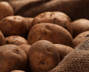 Гипертоникам есть только так: Диетолог Денисова рассказала, в каком виде нужно употреблять картофель людям с высоким давлением — защитит сердце
